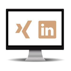 Kontakt SEO Experte