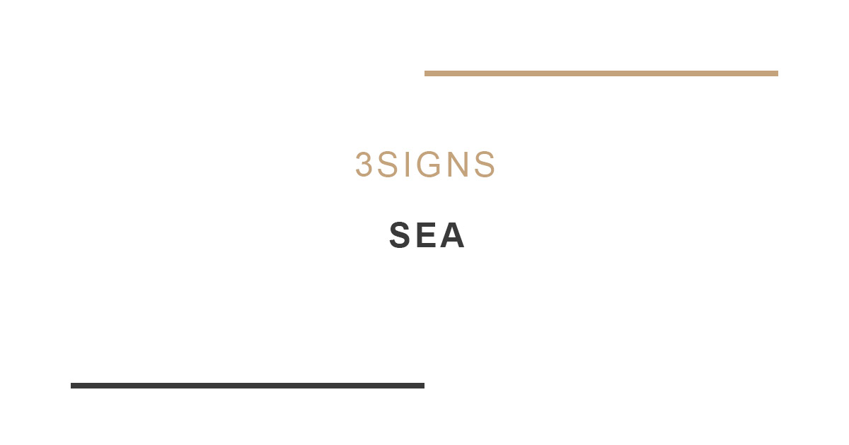 SEA (Search-Engine-Advertising)